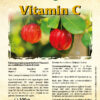 NATURE AKTIV VITAMIN C - 100 g Pulver – Bild 2