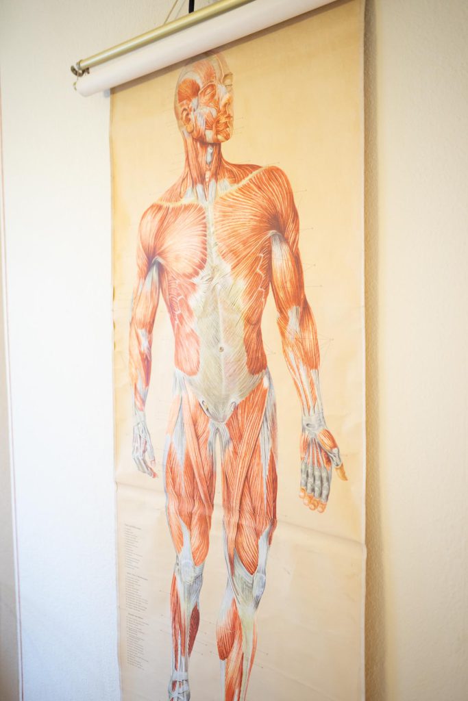 Osteopathie Robin Cronenberg Poster Mensch Muskulatur