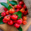 Vitamin C2 Obst Gemüse Nahrungsergänzung