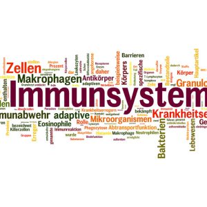Zink 2 Immunsystem Nahrungsergänzung