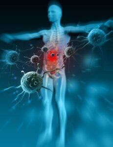 Screenshot 20231026 191233 Canva