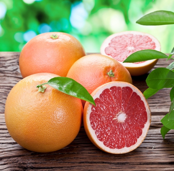 Screenshot 20231028 164454 Canva