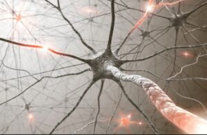 longevity .langlebigkeit, nad+ infusion