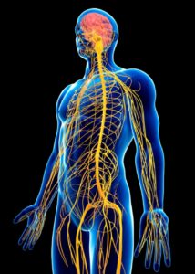 Screenshot 20231114 171743 Canva